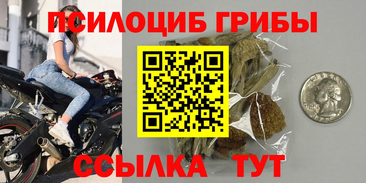 Галлюциногенные грибы Cubensis Урус-Мартан